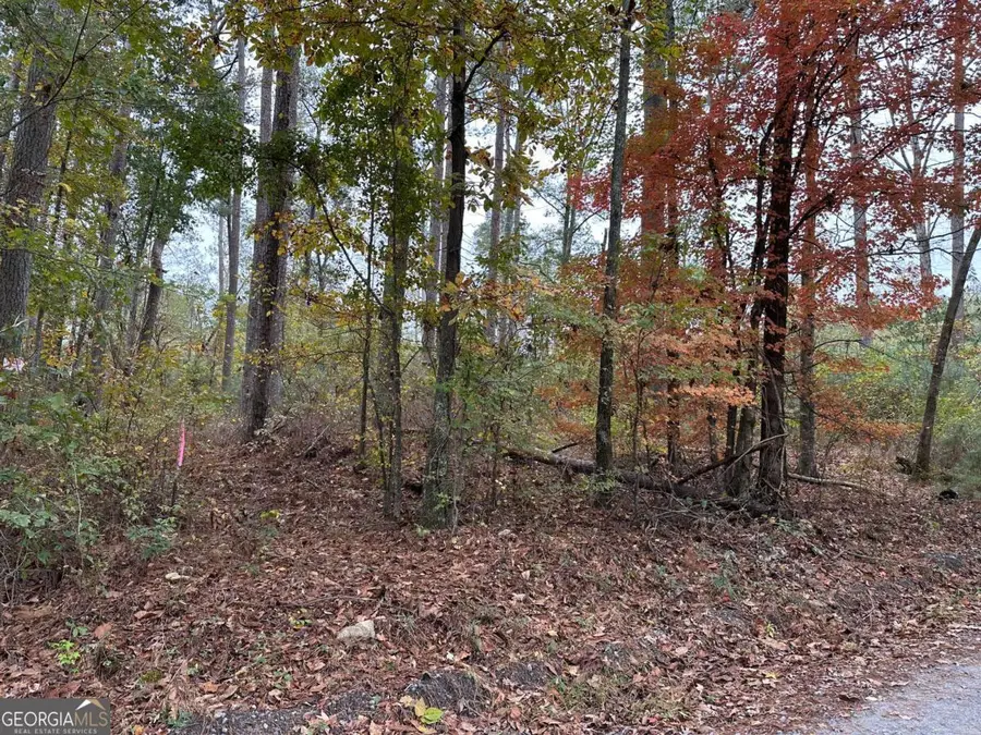 0 Church Lane, Villa Rica, GA 30180 - Image #2