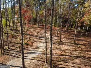 2171 Hollywood Hwy, Clarkesville, GA 30523 - Image #3