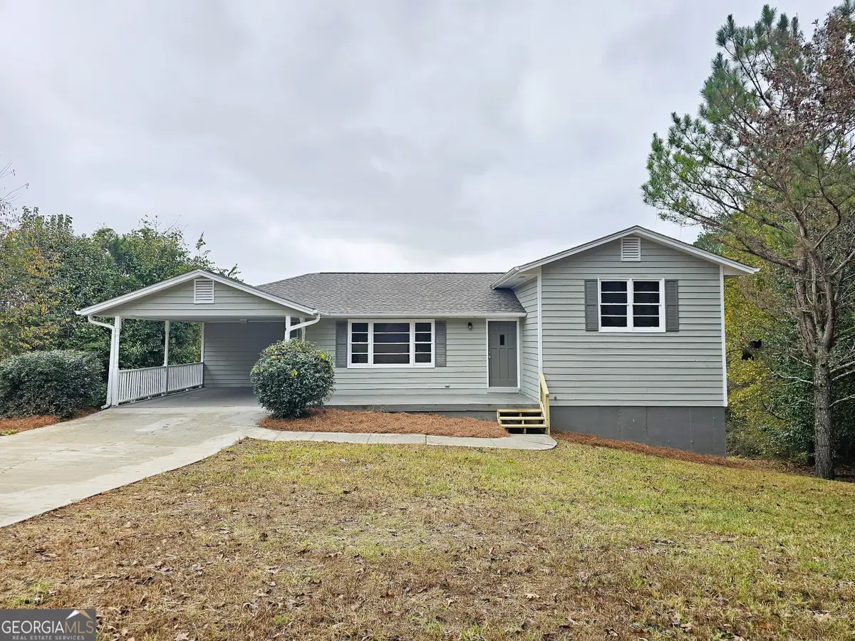 296 Winkle Road, Buchanan, GA 30113 - #1