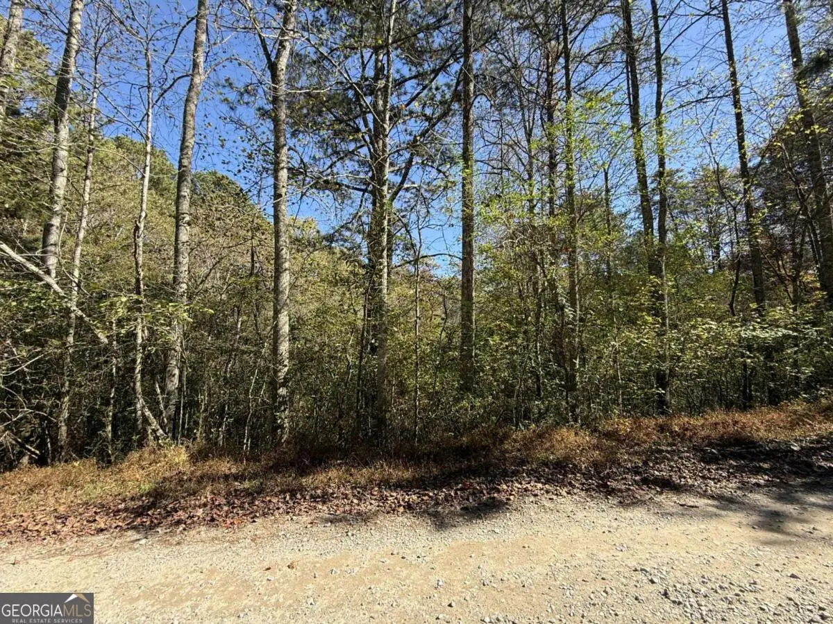 0 Heritage Way, Ellijay, GA 30540 - Image #1