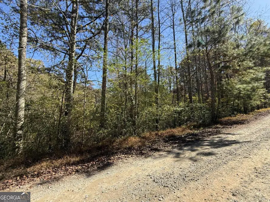 0 Heritage Way, Ellijay, GA 30540 - Image #3