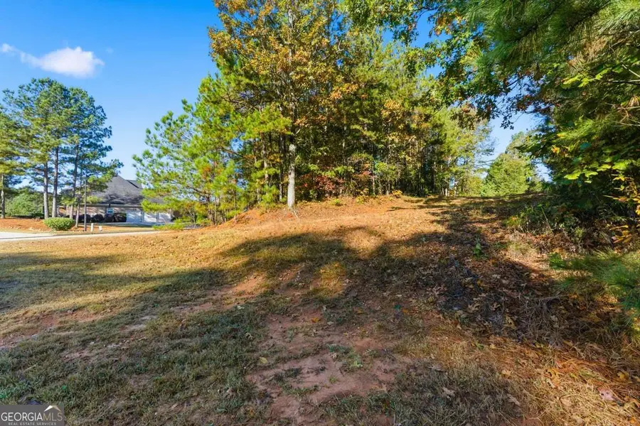 7794 Gusty Trail, Douglasville, GA 30135 - Image #2