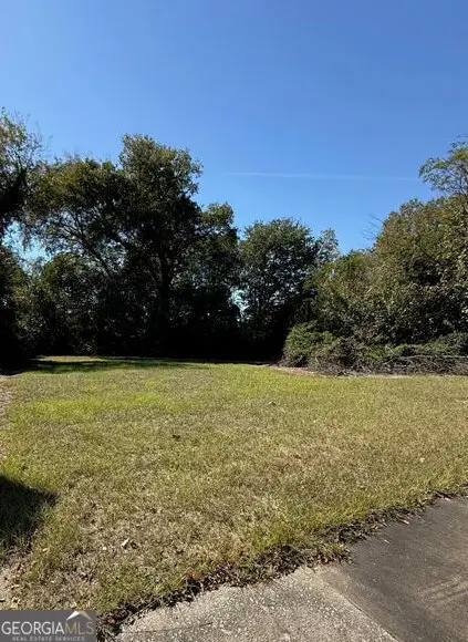 1088 Elm Street, Macon, GA 31201 - #1