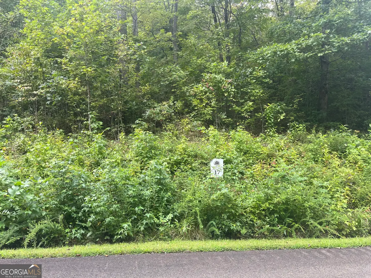 LOT 17 Staurolite Mountain Drive, Blue Ridge, GA 30513 - #1
