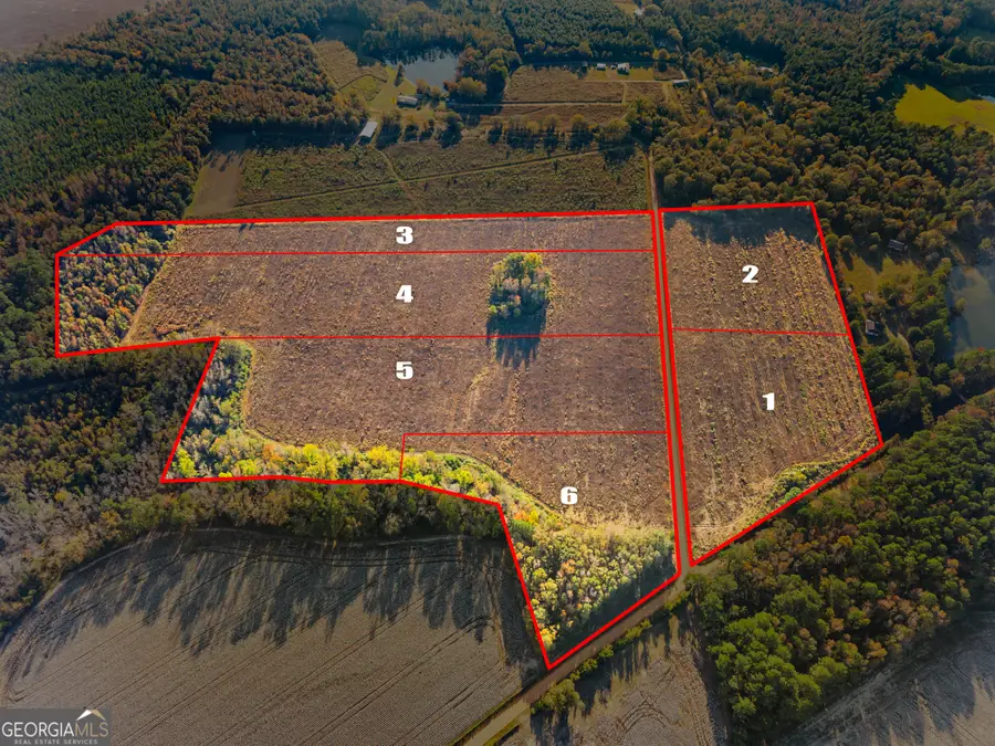 0 Waters Lane #LOT 4, Claxton, GA 30417 - Image #2