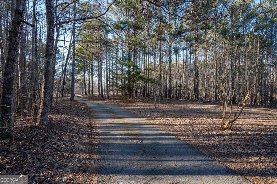 9209 W Banks Mill Road, Winston, GA 30187 - Image #2