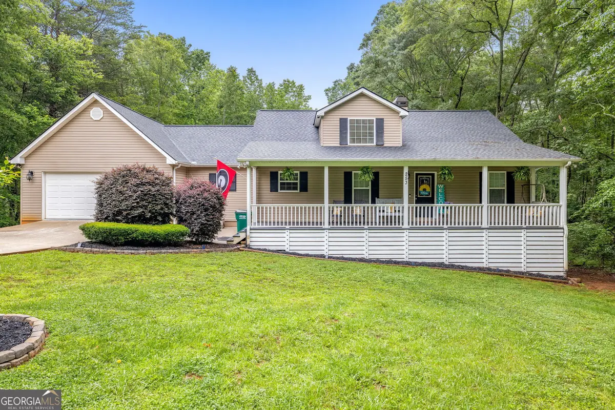 253 Grindstone Creek Drive, Clarkesville, GA 30523 - #1