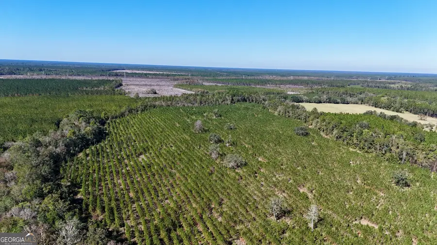 TRACT 2 River Road, Folkston, GA 31537 - Image #2