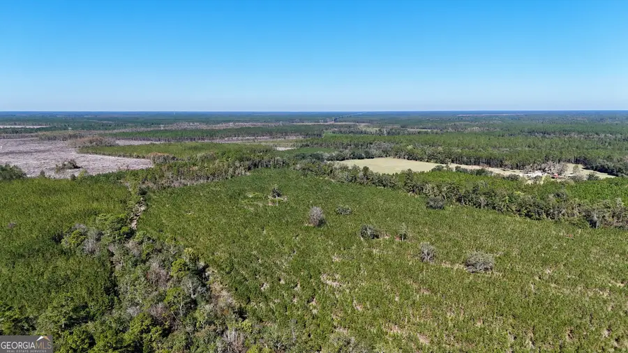 TRACT 2 River Road, Folkston, GA 31537 - Image #3