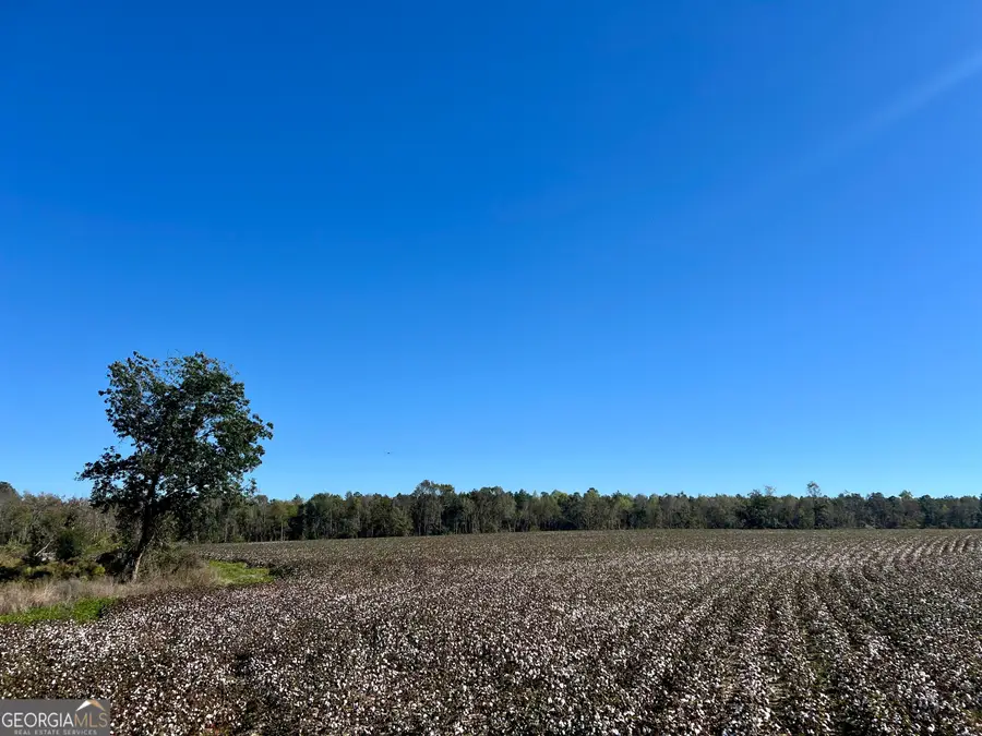 0 Bowen Hill Road, Garfield, GA 30425 - Image #2