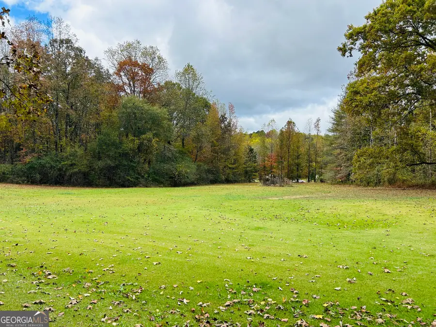 3077 Alec Mountain Road, Clarkesville, GA 30523 - #3