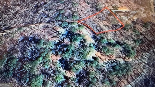 LOT 638 Dewey Drive, Ellijay, GA 30540 - Image #2