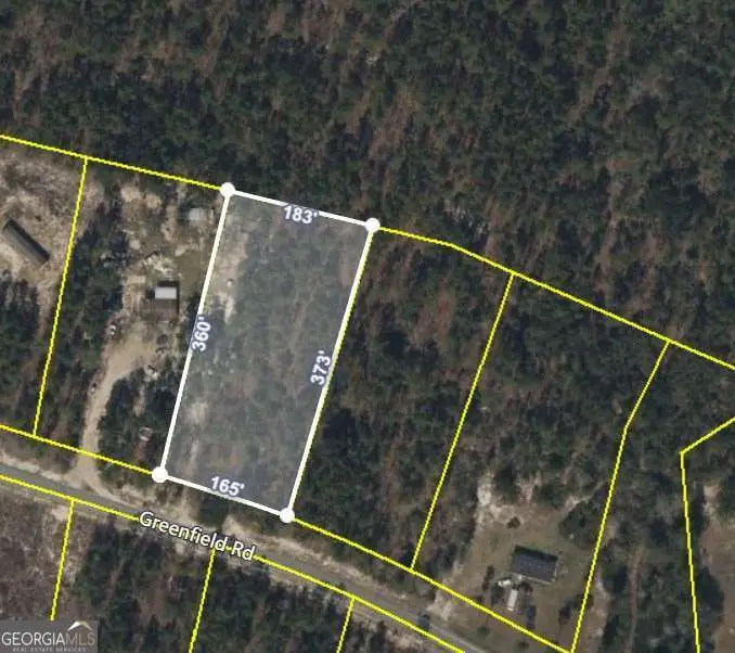 6929 Greenfield Road, Blackshear, GA 31516 - Image #1