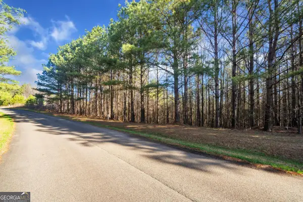 0 Foxpaw Leaf Lane #38, Ellijay, GA 30536