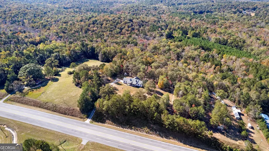 1243 Us Hwy 19, Meansville, GA 30256 - Image #2