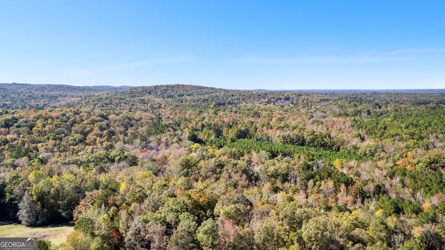 1243 Us Hwy 19, Meansville, GA 30256 - Image #3