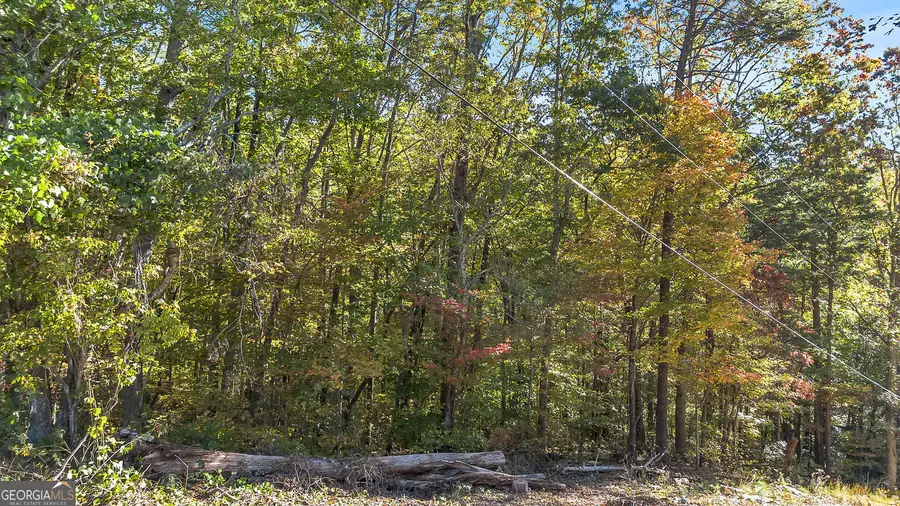 0 Highway 136 W, Jasper, GA 30143 - #2