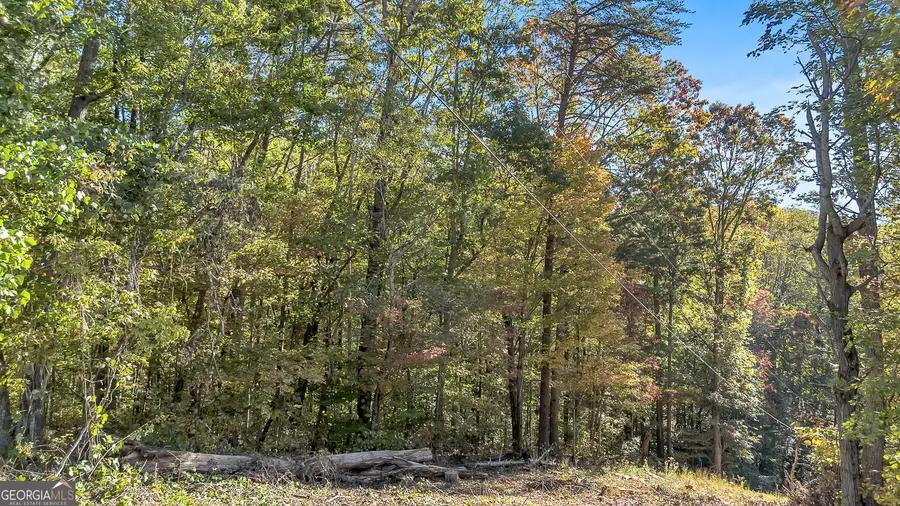 0 Highway 136 W, Jasper, GA 30143 - #3