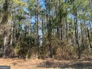 241 Valhalla Road #LOT 2, Cordele, GA 31015
