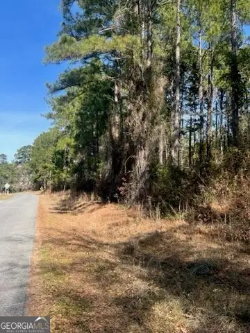 241 Valhalla Road #LOT 2, Cordele, GA 31015 - Image #2