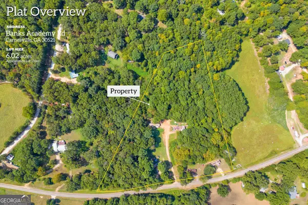 0 Banks Academy Road, Carnesville, GA 30521