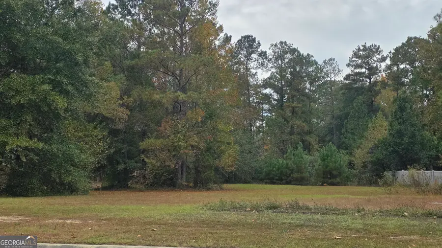 256 Falcon Crest, Warner Robins, GA 31088 - Image #3