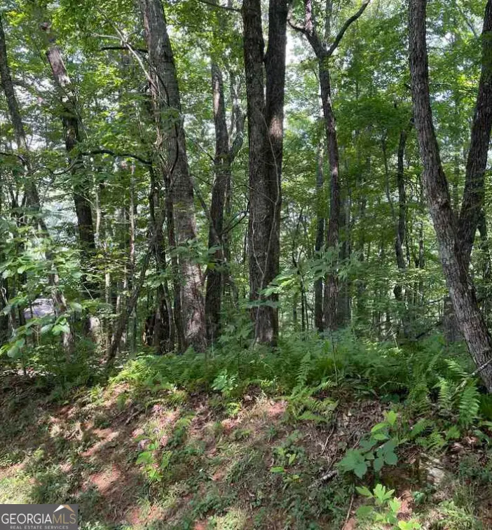 0 Thunderhead Lane, Dillard, GA 30537 - Image #2