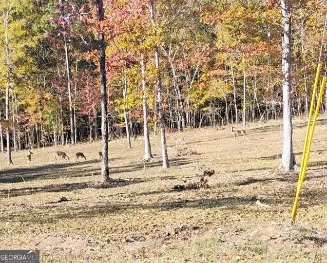 0 Melson, Cave Spring, GA 30124 - Image #3