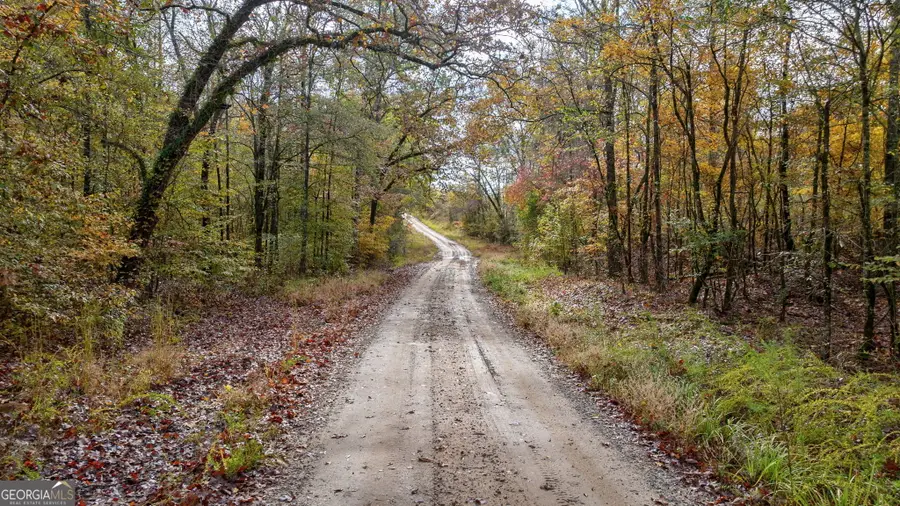 0 New Hope Vesta Road, Carlton, GA 30627 - Image #3