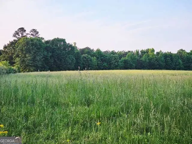 0 Welcome Road #TRACT 3, Roopville, GA 30170 - Image #1