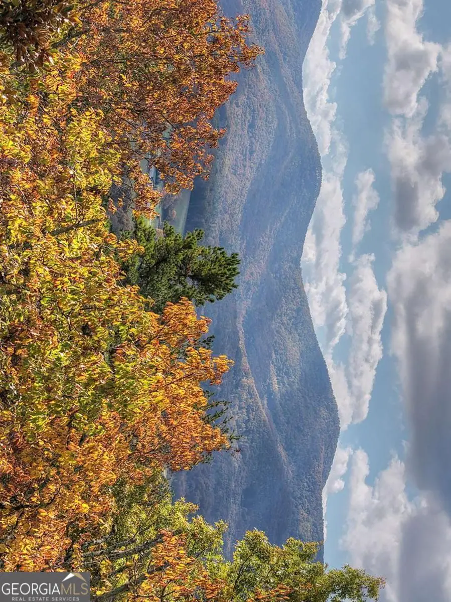 823 Arrant Road, Blairsville, GA 30512 - Image #3