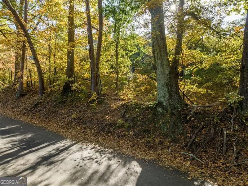 286 Lowry Street, Ball Ground, GA 30107 - Image #3