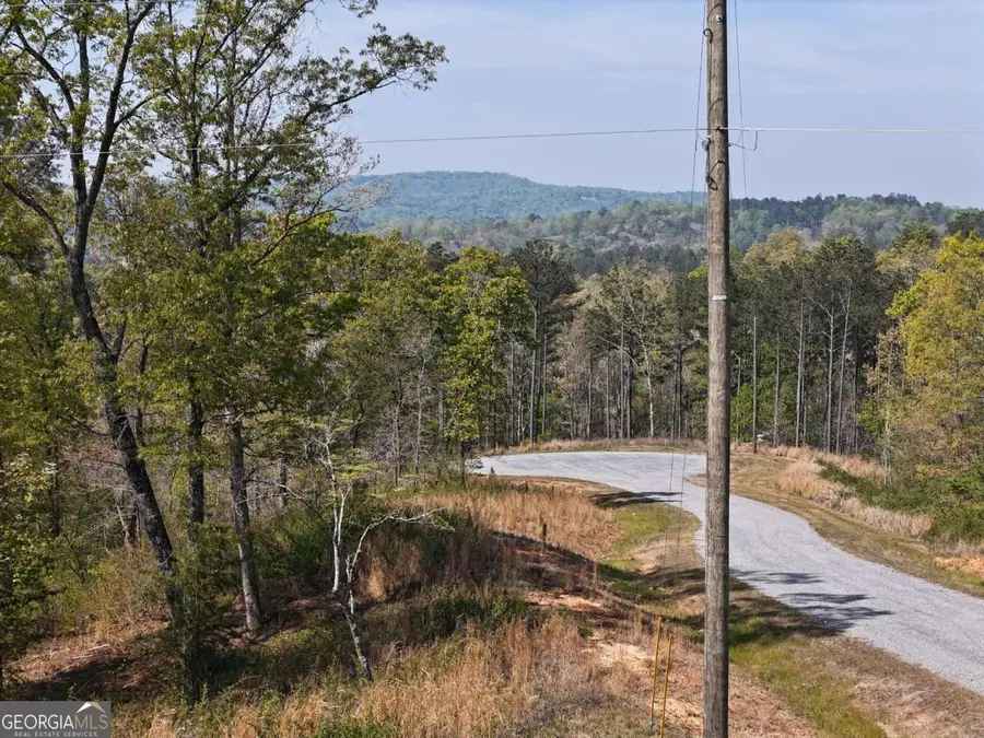 LT 20 Blalock Mountain Road, Ellijay, GA 30540 - #2