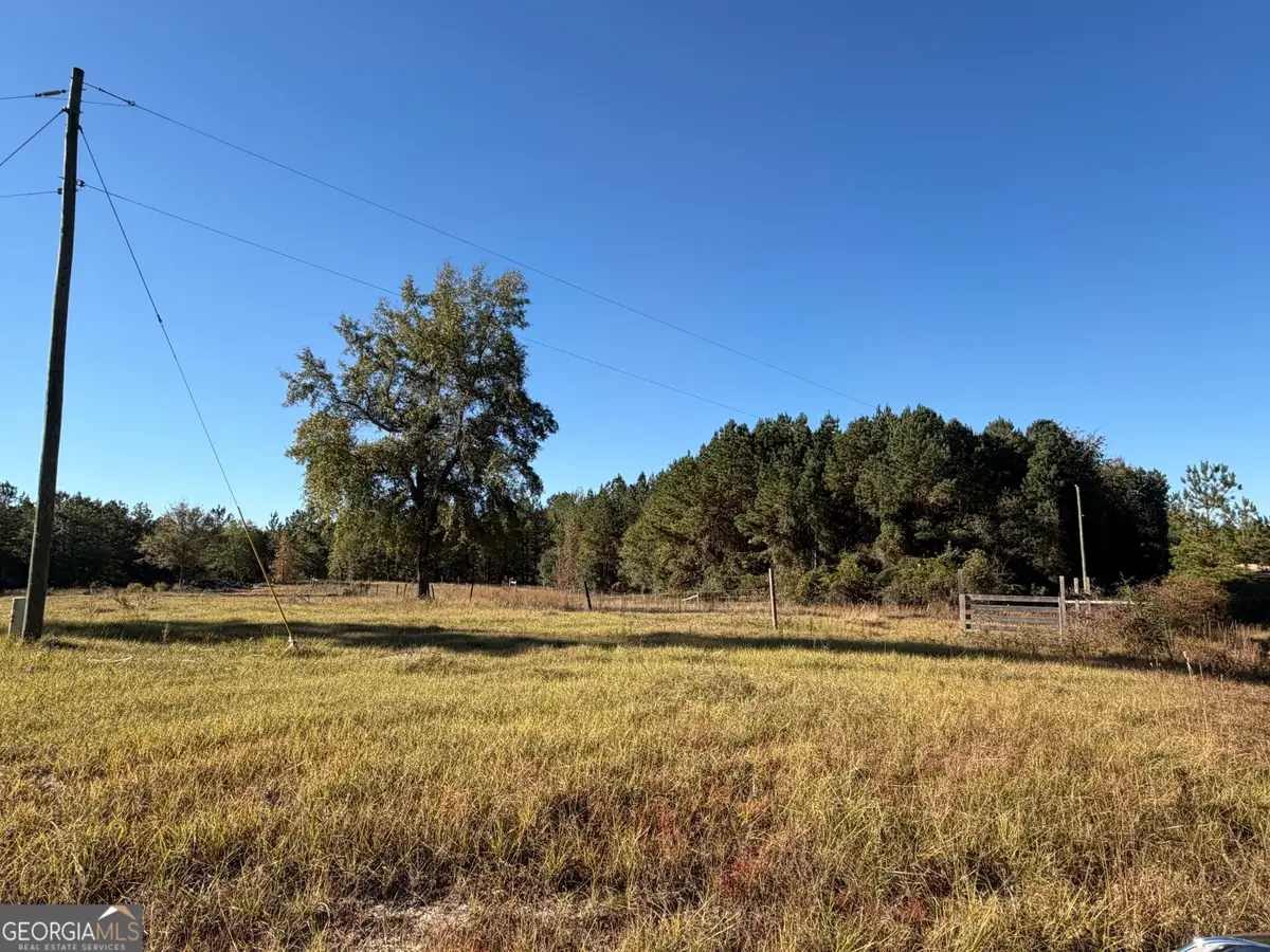 401 Sanders Cemetary Road, Chauncey, GA 31011 - Image #1