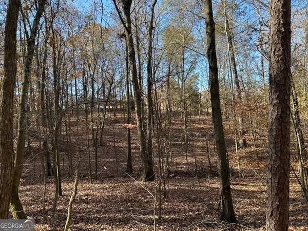 0 Dove Hill Road, Royston, GA 30662