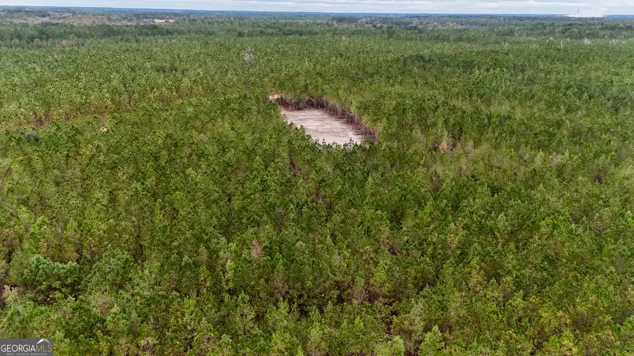 0 Penny Morris Road, Baxley, GA 31513 - Image #3