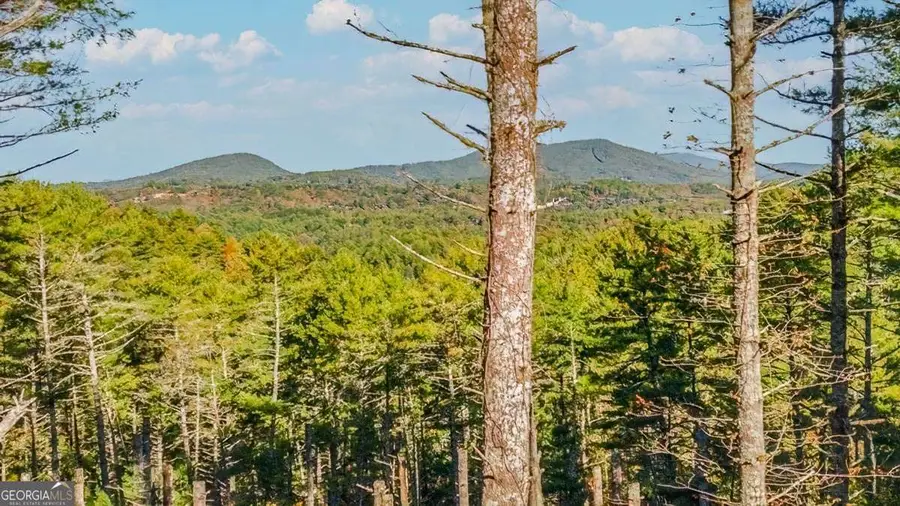 106 Still Run Run #3, Morganton, GA 30560 - Image #3