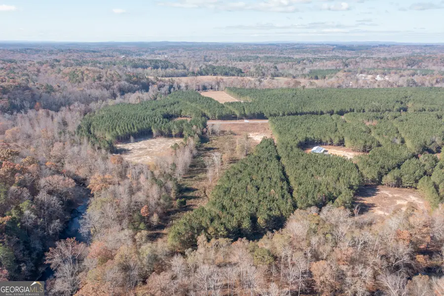 397 Steadman Road, Tallapoosa, GA 30176 - Image #3