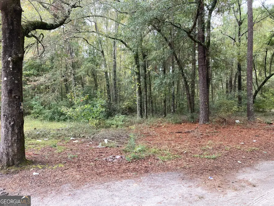 378 Lawton Road, Sylvania, GA 30467 - Image #3