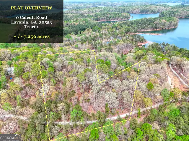 0 Calcutt Road #TRACT 1, Lavonia, GA 30553 - Image #1
