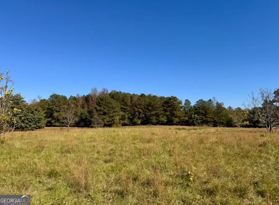 LOT 3 Dogwood Trail #- 5 ACRES, Tyrone, GA 30290 - Image #3