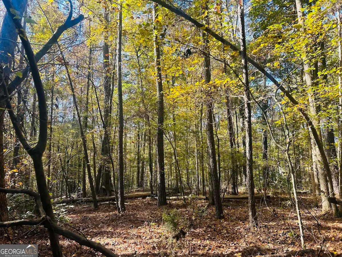 0 Stream View Drive #LOT 19, Conyers, GA 30013 - Image #1