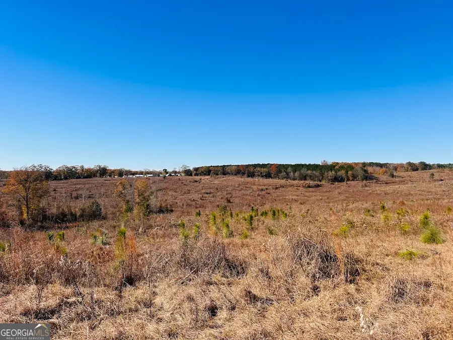 0 Jaye Road, Rupert, GA 31081 - Image #2