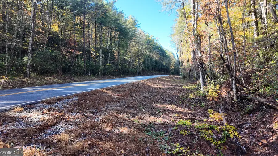 701 St Hwy 356, Clarkesville, GA 30523 - Image #2