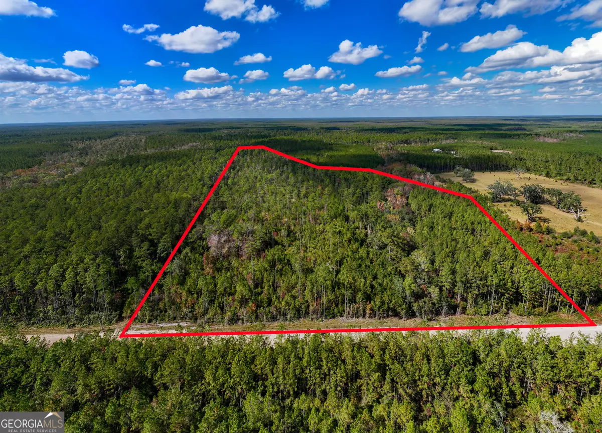 22.57 ACRES Incachee Road, Waverly, GA 31565 - Image #1