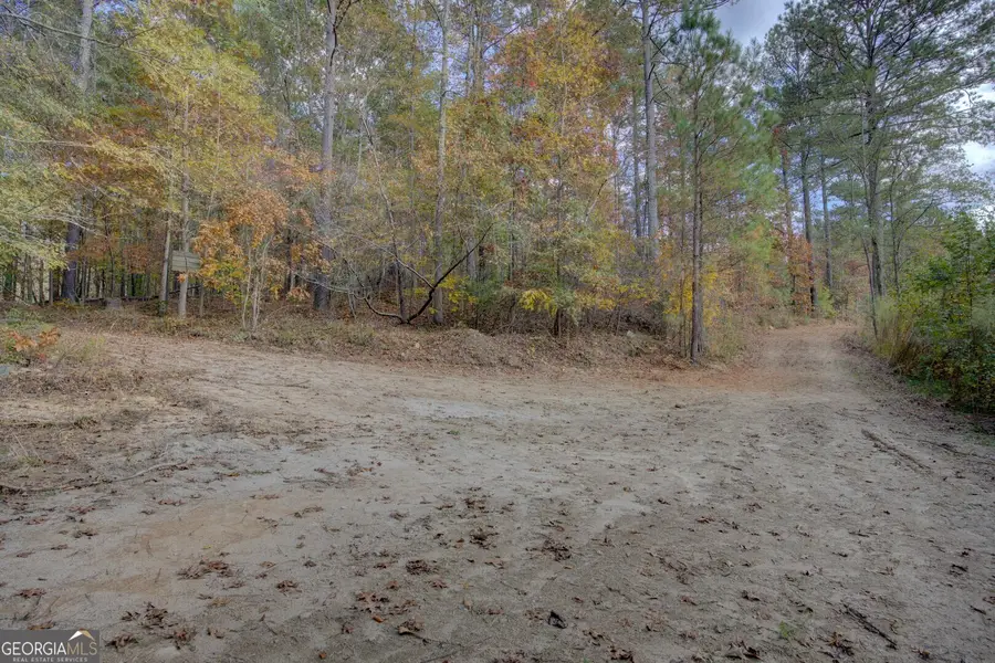 0 Herds Creek Road, Monticello, GA 31064 - Image #3