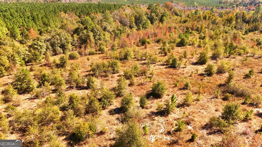 0 Rocky Springs Road, Eastman, GA 31023 - Image #2