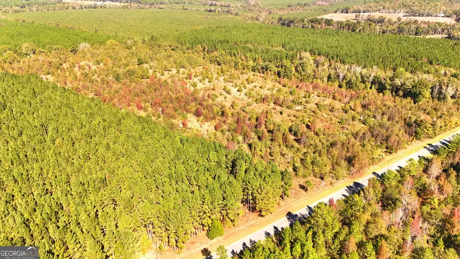 0 Rocky Springs Road, Eastman, GA 31023 - Image #3