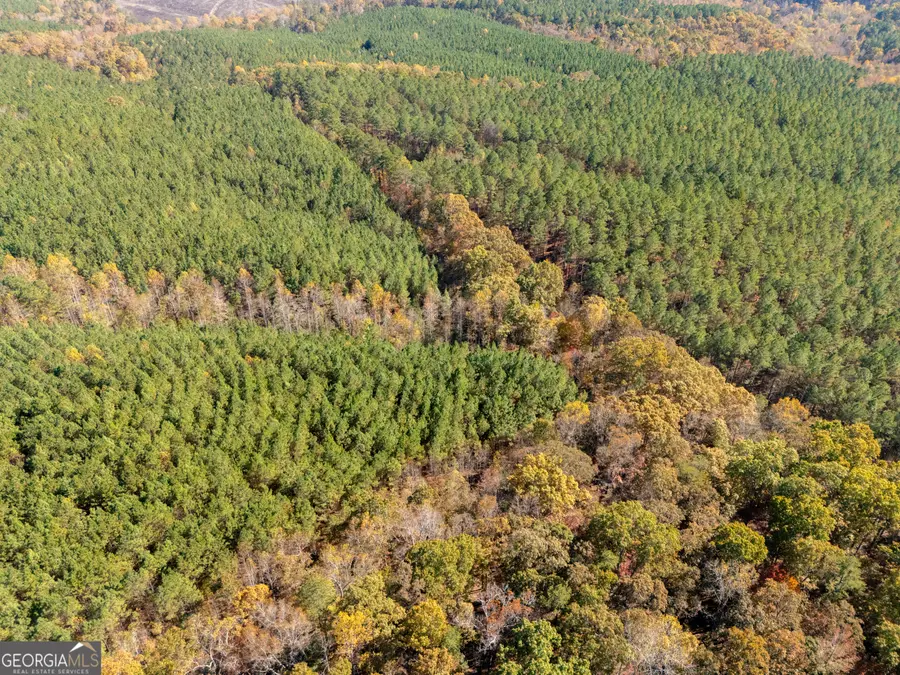 0 Gun Club Rd Off, Tallapoosa, GA 30176 - Image #2