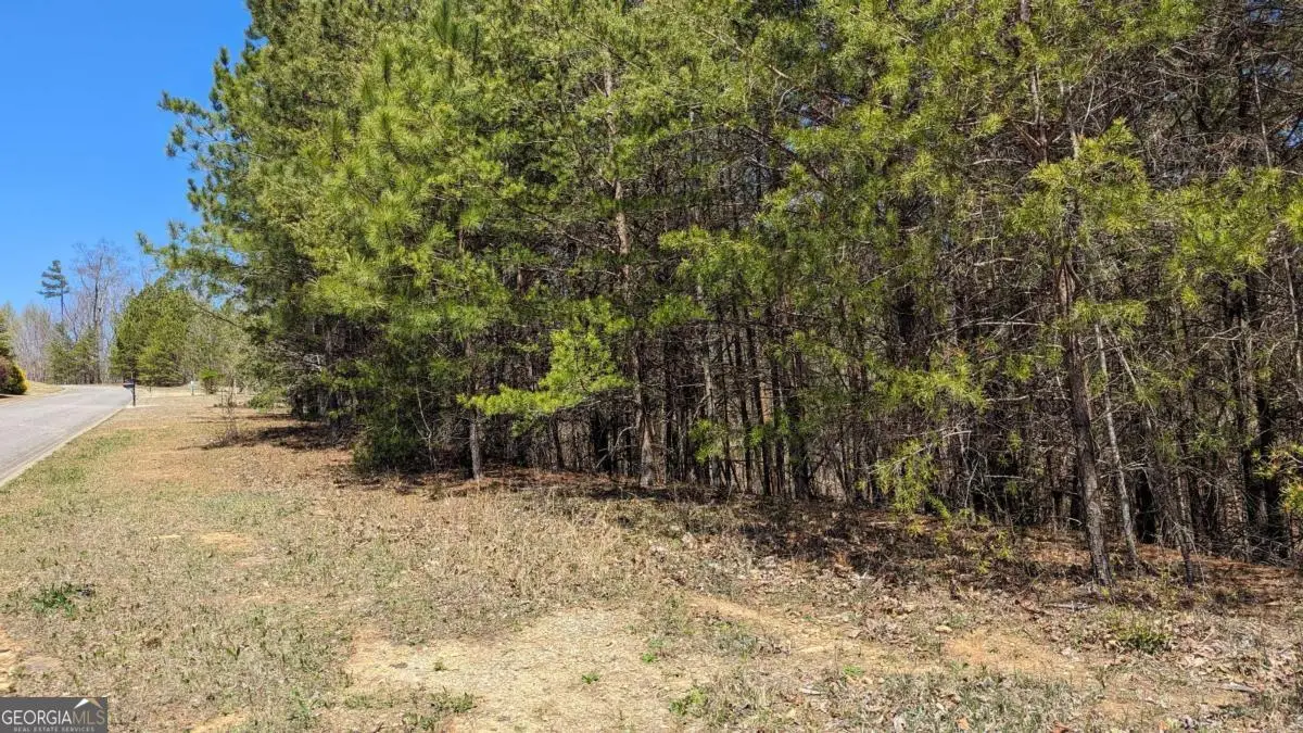 176 Windsor Way, Jasper, GA 30143 - #1